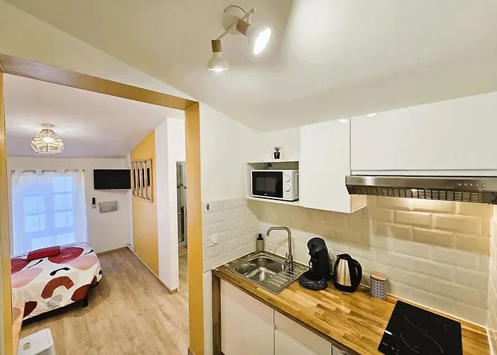 Confort ! Centre-ville, Climatisation, Parking, Wifi, Calme, Tv 公寓 卡尔卡松