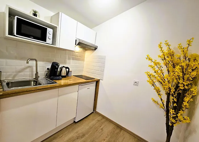 Confort ! Centre-ville, Climatisation, Parking, Wifi, Calme, Tv 公寓